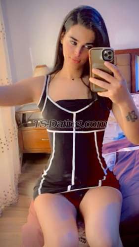 trans girl Safoojohn99 6505397 trans girl Safoojohn99 6505397