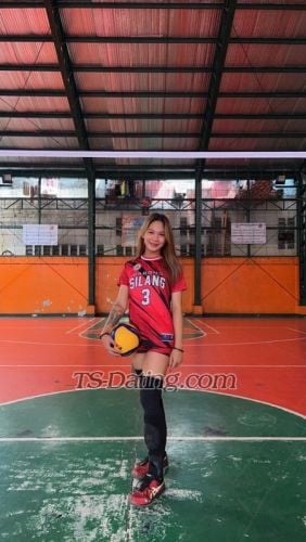 trans girl SammySam 2712423 trans girl SammySam 2712423