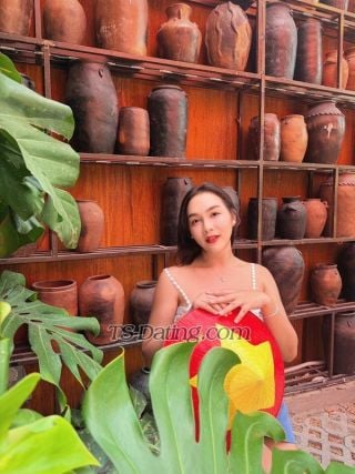 trans girl Sandycandy 9890749 trans girl Sandycandy 9890749