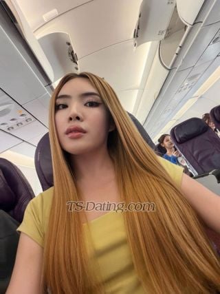 trans girl Sara2542 9554071