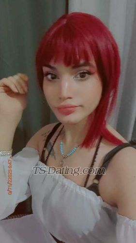trans girl Saraa19 5285665 trans girl Saraa19 5285665