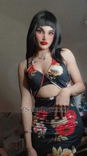 trans girl Saraa19 5285682 trans girl Saraa19 5285682