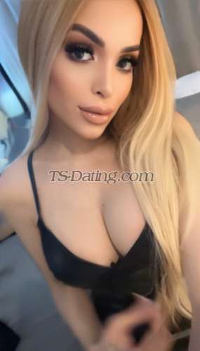 trans girl Sarahsensations 6452453 trans girl Sarahsensations 6452453