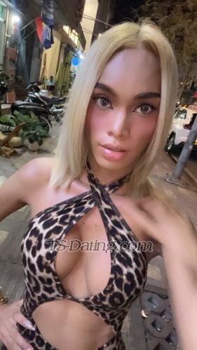 trans girl SashaA 3007556 trans girl SashaA 3007556