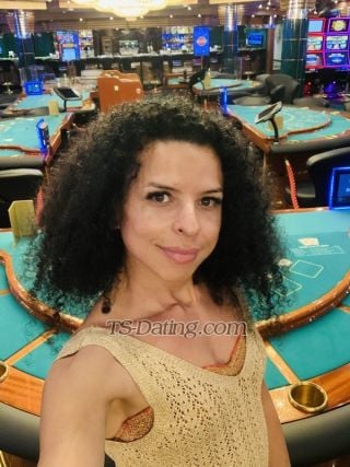 trans girl SashaFerrari 2819294