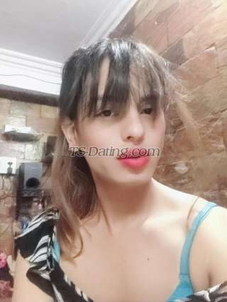 trans girl SashaQueen 3532284 trans girl SashaQueen 3532284