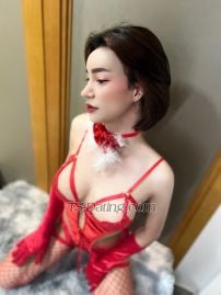 Saypan Penang TS escort 