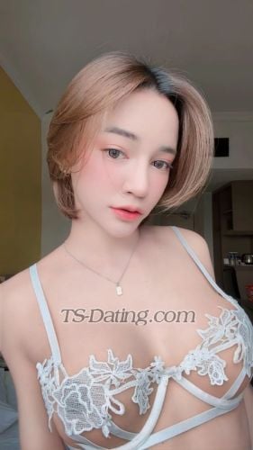 trans girl Saypan 3806293