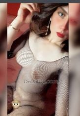 Selena 2 Cairo  Transex Ciao ragazzi mi chiamo selena 24 anni Shemale Pure ⚧🍓 Vivi in Egitto ora 🥰💫 Se ti piace fare una sex cam 📸 o un trasferimento telefonico 📲 💸 prima Vodafone Cash o PayPal 🌎 paga insta Se vuoi conoscermi, parlami su WhatsApp 😇🔥💫❤️🫂👄💅🍓🍌🏡 📲 Il mio numero 01019630252