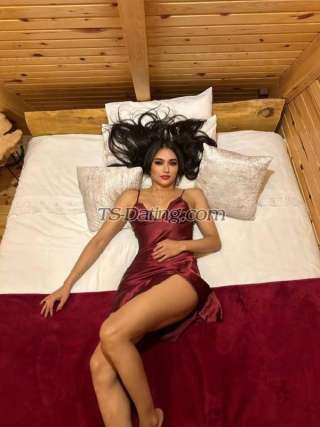 trans girl SerapOnal 5959009 trans girl SerapOnal 5959009
