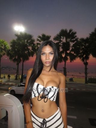trans girl SexyAmy69 4021331 trans girl SexyAmy69 4021331