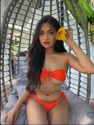 Shemale SexyDisha 1263270 Shemale SexyDisha 1263270
