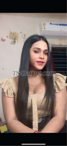 trans girl SexyJessica 9878191 trans girl SexyJessica 9878191