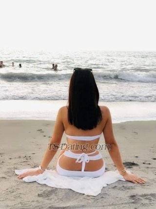 trans girl SexyKaraXXX 9035832 trans girl SexyKaraXXX 9035832