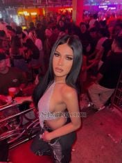 SexyLilly Cebu Transex Hi everyone! My name is LILLY . I will be your prefect sex
companion.

Im easy going, hot and horny.
I want
to satisfy the man i am with in the most heavenly
way.
My mission is to provide you with an exceptional
erotic and exotic sexual experience that u will always
remember and btw i can be TOP and BOTTOM.
Im open minded
and totally discreet.
PLEASE CONTACT ME IN WHATSAPP AND
TELEGRAM +63 9468801739