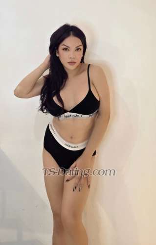 trans girl SexyOliviaxo 2521732 trans girl SexyOliviaxo 2521732