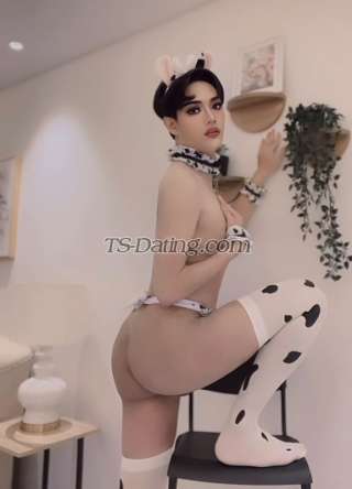 trans girl SexySailor 6631364 trans girl SexySailor 6631364