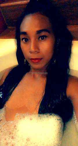 trans girl Sexyexotic 3235283 trans girl Sexyexotic 3235283
