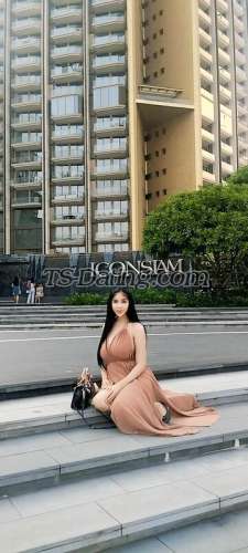 trans girl Sexymj 3124772