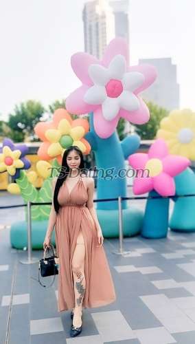 trans girl Sexymj 3596331