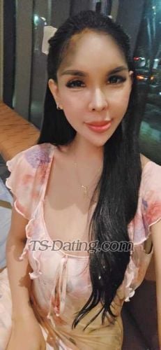 trans girl Sexymj 6702153 trans girl Sexymj 6702153