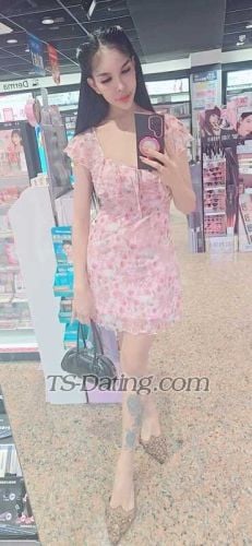 trans girl Sexymj 7533245 trans girl Sexymj 7533245