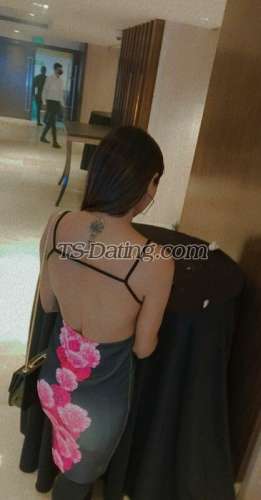 trans girl Sexysamayra 5005299 trans girl Sexysamayra 5005299