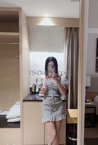 trans girl Sexytransteph 4621155 trans girl Sexytransteph 4621155