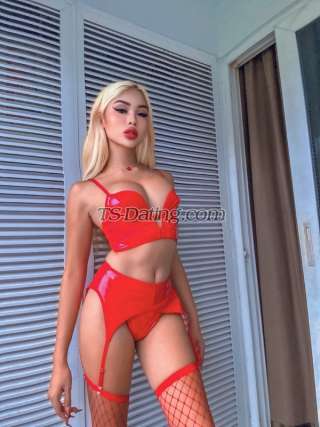 trans girl Sexytranswoma 2646852 trans girl Sexytranswoma 2646852