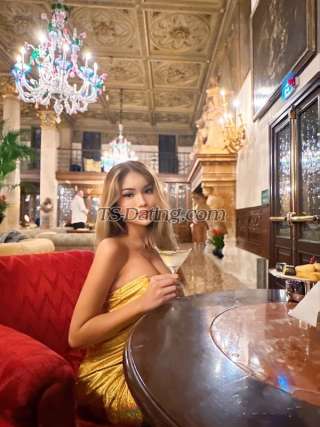 trans girl Sexytranswoma 9449676 trans girl Sexytranswoma 9449676