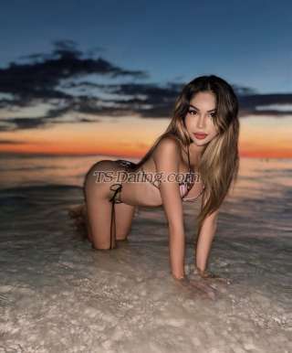 trans girl Sexytranswoma 9451677 trans girl Sexytranswoma 9451677