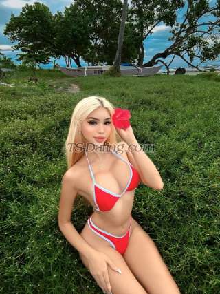 trans girl Sexytranswoma 9727618 trans girl Sexytranswoma 9727618