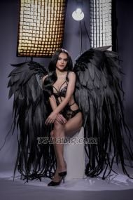 Shacha ShachaX ShachaX Phuket Transex Olá, eu sou Sha (natureza 1000% e sem aplicativo de rosto ou IA) Tenho 23 anos e sou da Tailândia 🇹🇭 Agora na Tailândia 🏝️ Sem cirurgia e rosto 100% original de ladyboy tailandês (apenas preenchimento e Botox) Me mande uma mensagem se quiser saber mais sobre mim Localização em Patong Phuket hotel privado e seguro Eu respeito todas as pessoas e as acolho ❤️ mesma foto porque todas as fotos são de fotógrafos e maquiadores profissionais ❤️ podemos nos encontrar para beber primeiro ❤️ corpo alto e musculoso 💖 Garotinhas malucas e safadas 💖Sexo limpo e seguro 💖100% saudável e verificado para doenças todo mês. 💖brinquedo sexual disponível 💖superior e inferior 💖experiência adorável e doce com uma namorada 💖doce e fofo 💖viajar ao redor do mundo está disponível com você 💖cusplay academia praia e saúde Pode me seguir ou entrar em contato comigo IG shachalisaaa Snapchat Sha2meow Telegrama @shalixxxo WhatsApp +66803511087 e +66983565620