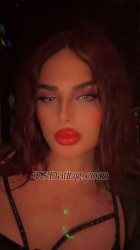 trans girl Shaghaf 1606496 trans girl Shaghaf 1606496