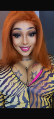 ShakiroBX Bruxelles Transex Bonjour, je suis Shakiro, une femme trans vivant à Bruxelles. Je suis une personne élégante, respectueuse et ouverte d’esprit. J’aime les conversations sincères, les rencontres de qualité et les personnes bienveillantes. Je prends soin de mon apparence et j’accorde beaucoup d’importance au respect, à la discrétion et à l’hygiène. N’hésitez pas à me contacter pour faire connaissance et échanger dans la bonne humeur. À bientôt !