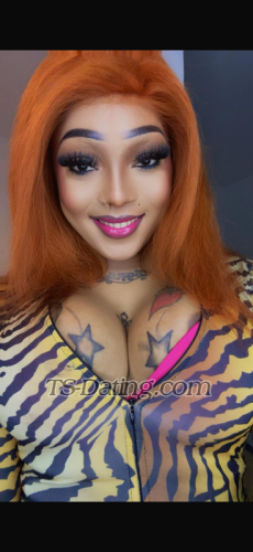 Shemale ShakiroBX 1655451 Shemale ShakiroBX 1655451