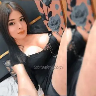 Shemale Shamayasen 3376095