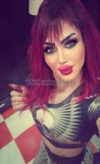 Sham Shamo sy Shamo sy Damascus Transex Negocios por la tarde, por la tarde, no me digas 0936745815