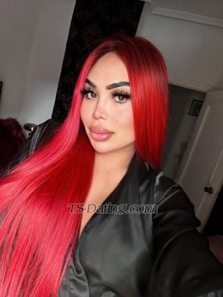 trans girl Shanellxl 3357992 trans girl Shanellxl 3357992