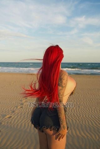 trans girl Shanellxl 3358709 trans girl Shanellxl 3358709
