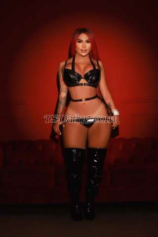 trans girl Shanellxl 6788145 trans girl Shanellxl 6788145