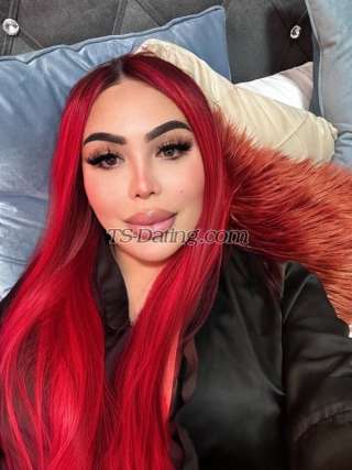 trans girl Shanellxl 6788389 trans girl Shanellxl 6788389