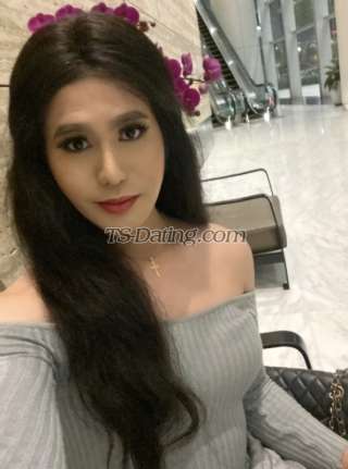 trans girl Shaneza 5831123 trans girl Shaneza 5831123