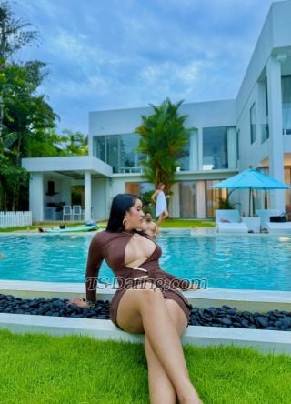 trans girl Sharif 1629317 trans girl Sharif 1629317