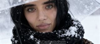 trans girl Sharif 2630975 trans girl Sharif 2630975