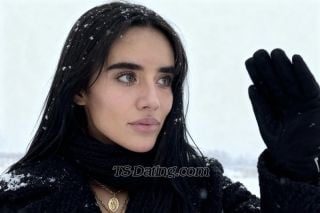 trans girl Sharif 2631038 trans girl Sharif 2631038