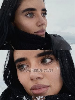 trans girl Sharif 2651163 trans girl Sharif 2651163