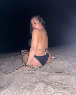 trans girl Sharif 2816017 trans girl Sharif 2816017