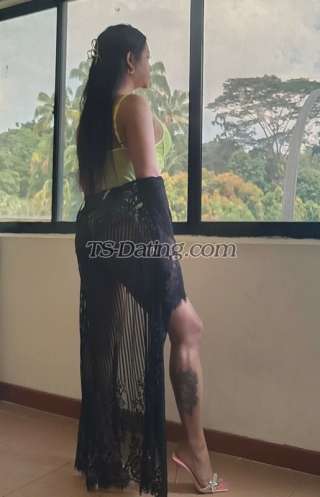 trans girl ShashaTs 3742284 trans girl ShashaTs 3742284