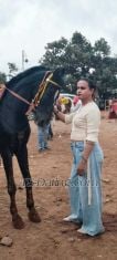 ShemaleAnayra Pune Transex Hey everyone 🫶Anayra 🎀I'm a cute
and hotness & passion fulled Versatile shemale from I'll
give you a memorable pleasure time that u dream of..I
have huge active tool with delicious cute boobs with a
combination of perfect feminine figure of your
dream..And I am mentain my hygiene very
well.I give services like girlfriend experience,
wife experienceHard Punishment, Bdsm , Foot Festing ,
Ball Breasting Everything & whatever u dream
etc..Cock Size - 8 InchBoobs size- 34
BAslo Video service nd audio service available
.WITHOUT CONDOM NOT ALLOWEDCharges (non
negotiable)What are u waiting for.. COME to me &
fulfill all your dark fantasies..Call meTOP
Shemale 28 Young TRANSSEXUALS FOR MEN , WOMEN ND COUPLE
ALSO⭐ BDSM⭐FEMDOM⭐CLIENT
FEMINIZATION⭐ROLEPLAY⭐GIRLFRIEND
EXPERIENCE⭐One Shemale Mistress⭐ U
WANT TO BECOME MY SLAVE⭐READY TO BE AS UR
MASTERVery TALK ACTIVE n Decent Elite Fig to
Satisfy u X Fanstasy❤️. Staying Alone With
HYGENICE ELITE DECENT PLACE❤️. WONDERFUL
ENVIRONMENT to have fun❤️. U CAN FUCK ME UNTILL GET
SATISFIED❤️. Do u want FUCK from SHEMALE in CROSS
DRESS ?❤️. USE MY CD DRESSFUN
AVAILABLENOTE : DOn't do UNWANTED CHAT
-TIME PASSER FK URSELFWELCOMING YOU ALL
WITH OPEN LEGS!Any WANT FUCK with SHEMALE
DOMINATOR ? Try ME Never FORGET My SESSIONLet u
SURROUNDER URSELF With me With ZERO ATTITUTE LET ME BRING U
TO HEAVENFULL FILL UR SEX FANTASY